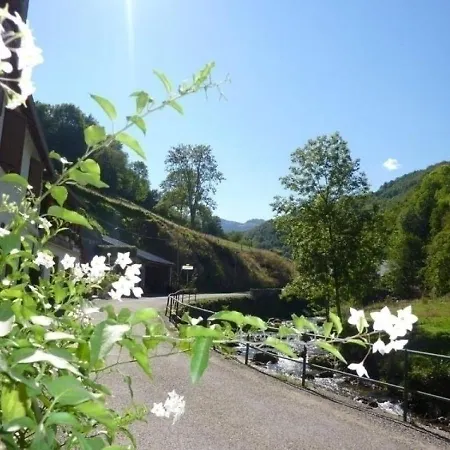 Saint-lary, 4 Pieces, 5 Personnes - Fr-1-419-231 Tatil Evi *